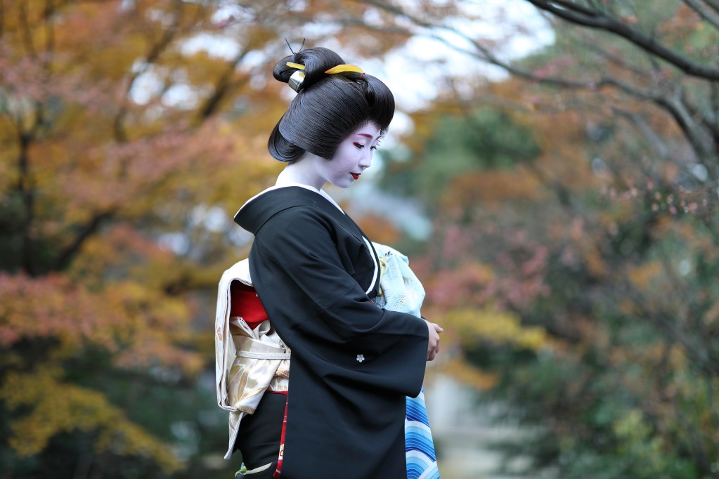 舞妓・芸妓 〜 祇園甲部の秋景色 2 2019 12 08169509 46 04a5m
