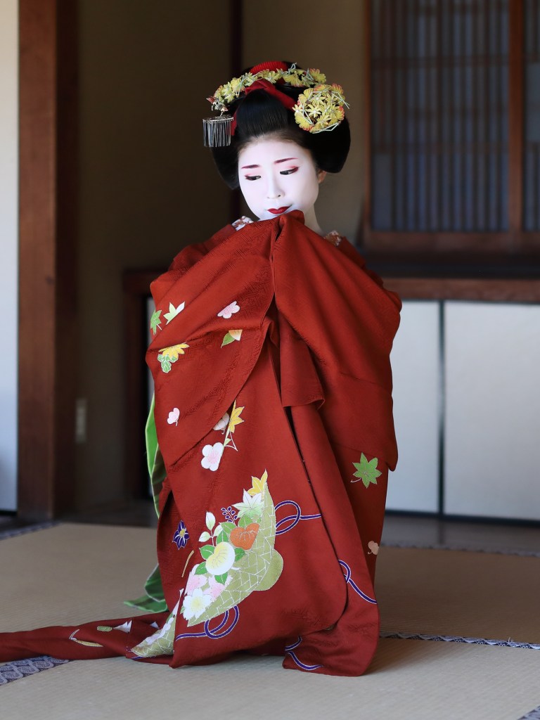 舞浪曼 ~京都の舞妓たち 2 2019 11 23069314 07 43a1